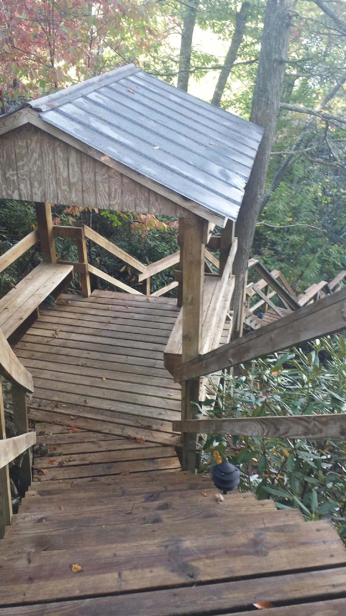Metal roofed shelter over wooden steps on a wooded walkway — Skylight Repair & Installation work by our crew in Poplar Grove